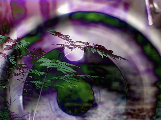 Eye Thorn Forrest