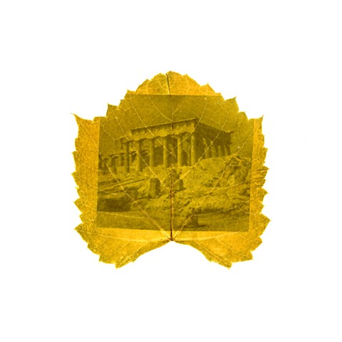 Ντολμάδες (Dolmades)