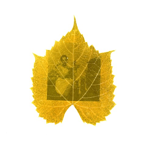 Ντολμάδες (Dolmades)