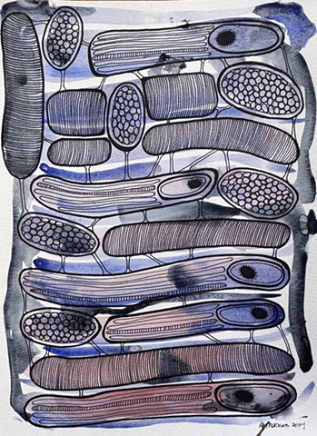 Cells 6