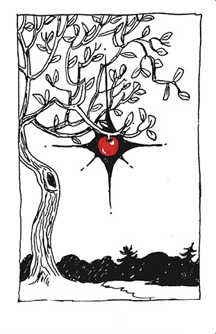 Apple Tree 1