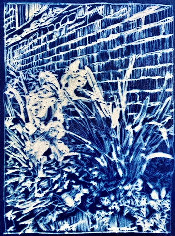 Daffodils II