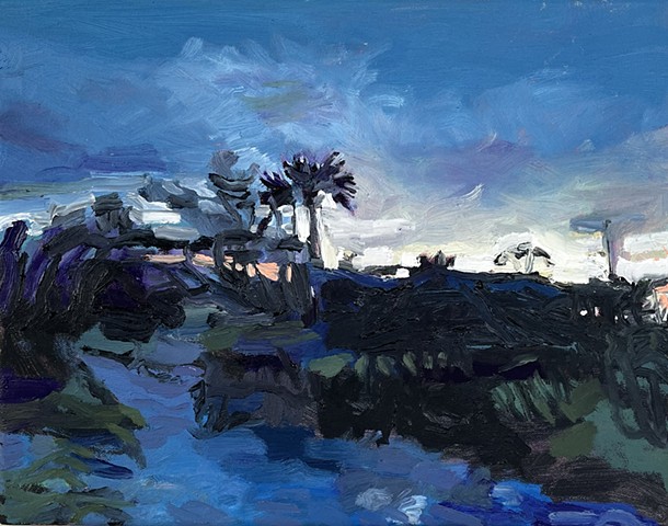 Folly beach trees