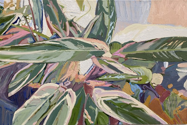 Houseplant leaves