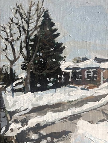 Winter, Skokie, IL II
