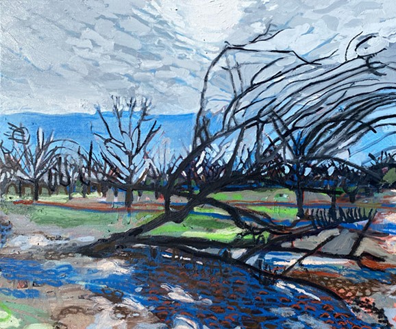 Pecan orchard study, Macon