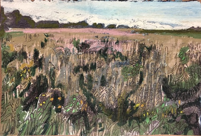 Field