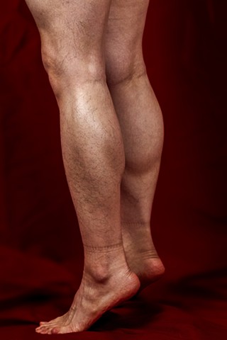 Legs