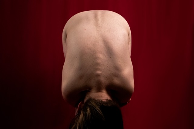 Spine