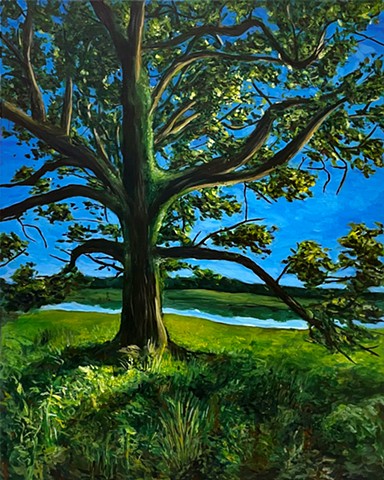 Catalpa Fields
