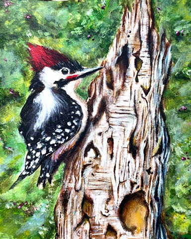 Mimi's Woodpecker