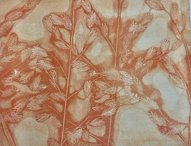 Jewelweed Press