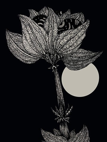 Night Flower 0