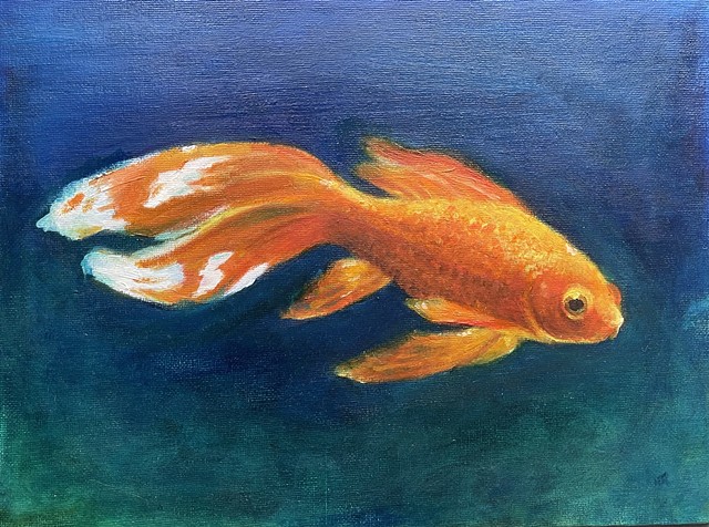 goldfish