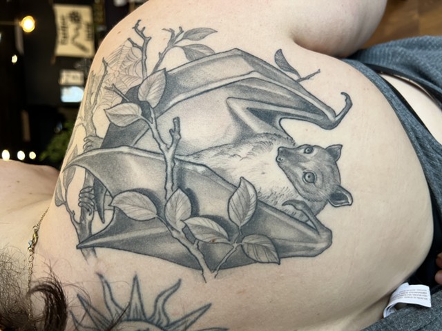 Bat in branches