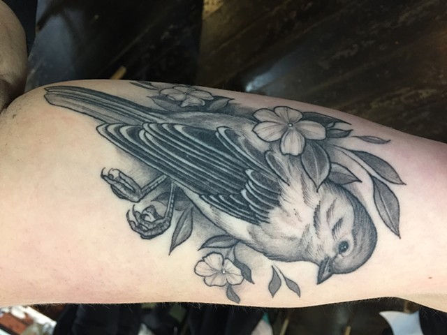 Dead Bird