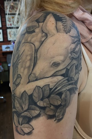 Albino Fawn