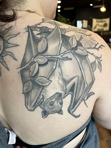 Bat in branches
