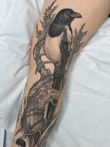 Magpie