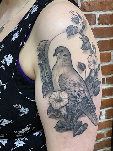 Pigeon