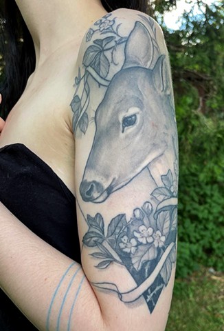 Deer Arm
