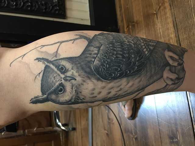 Owl Cover Up