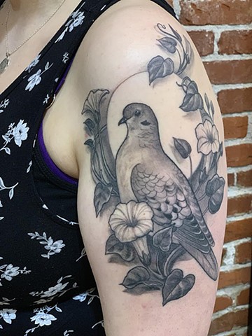 Pigeon