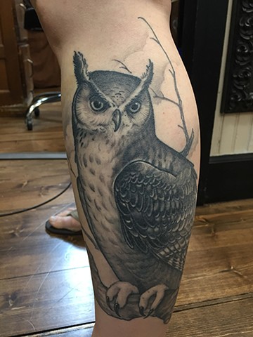 Owl Cover Up