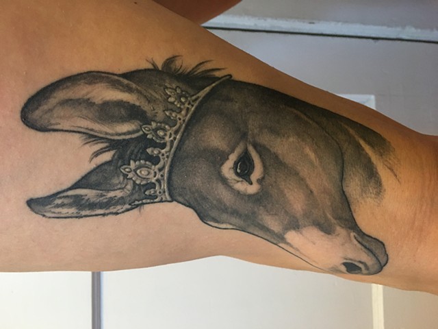 Donkey