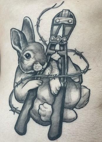 Anarchy Bunny