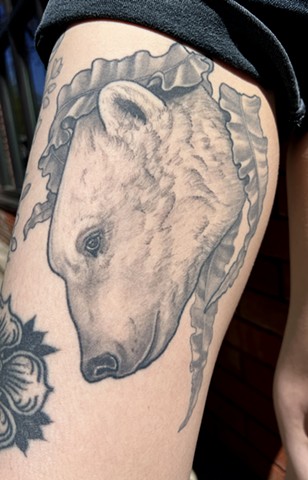 Polar bear