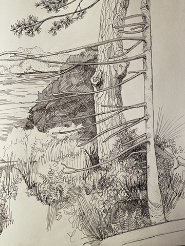 Detail of Sketchbook