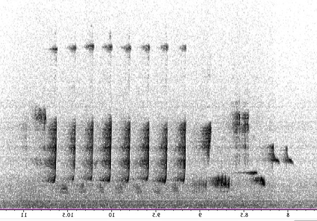 catalogue of a walk recordings
