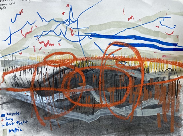 10 November field drawing