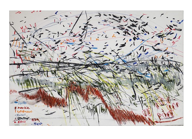 25 November field drawing