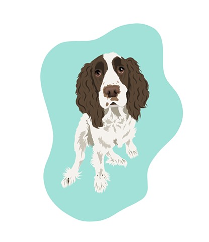 Cooper
