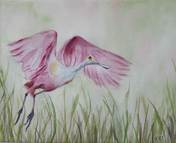 Spoonbill in Flight