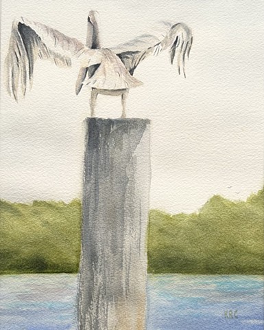 Drying Time