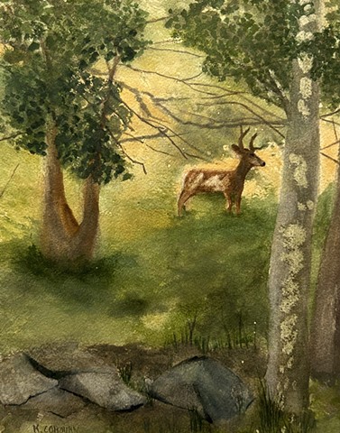 Pinto Deer