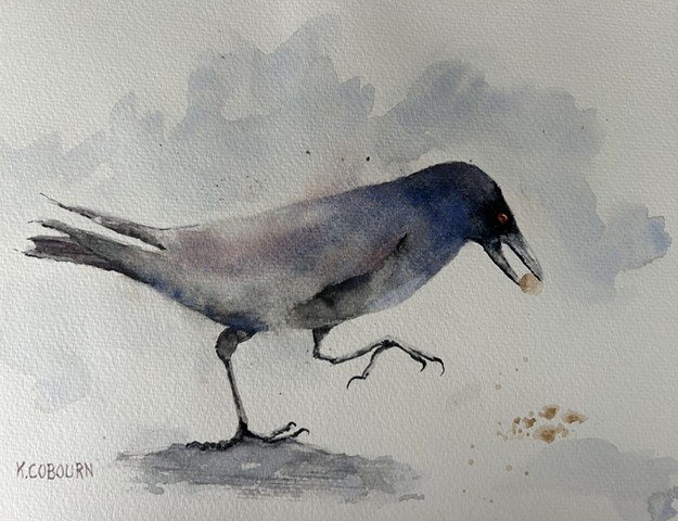 Crow with Kix