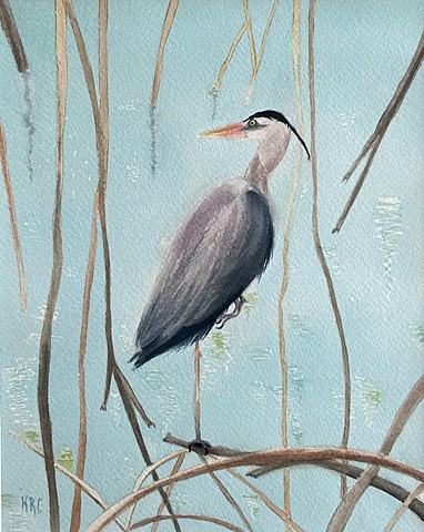 In the Mangroves