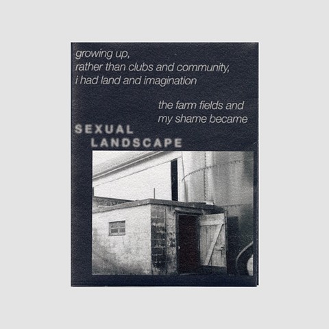 sodomy