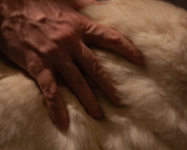 FUR