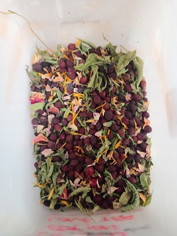 Wild Roots Teas