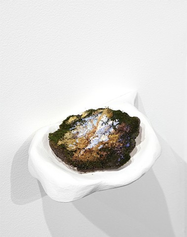 Mossy Snow