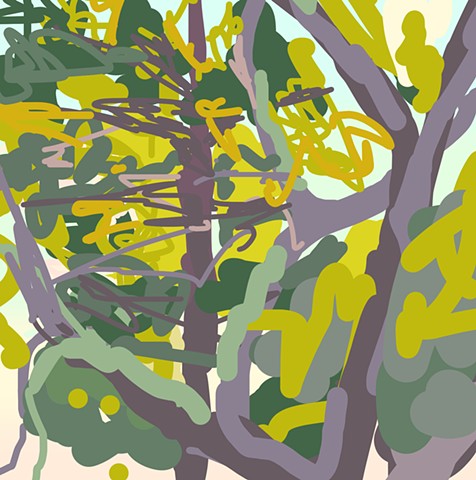 Sunset Trees