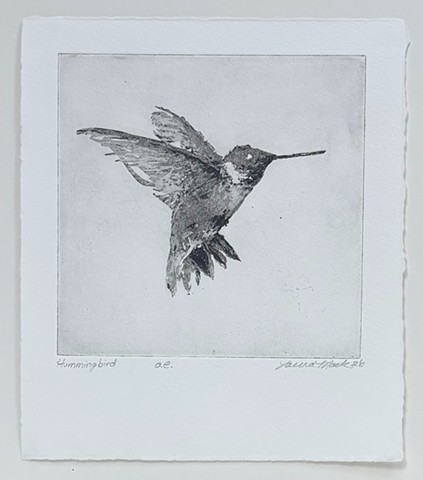 Hummingbird