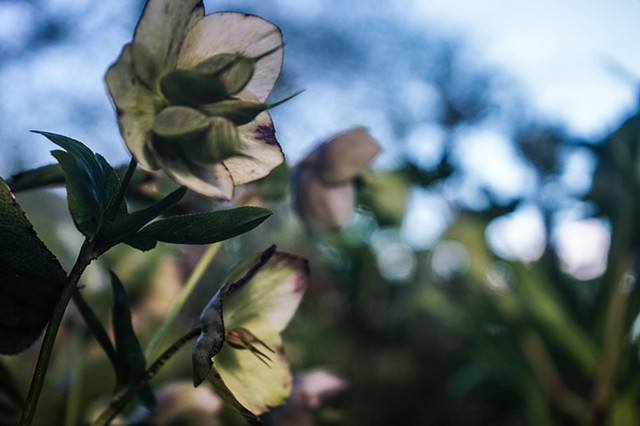 more photography