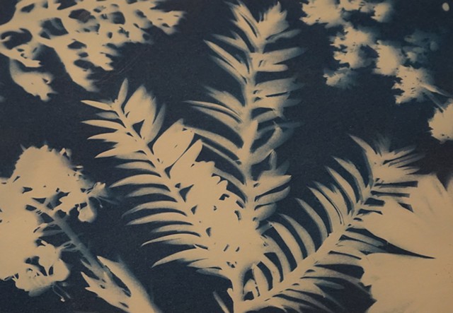 pilgrimage ('25)