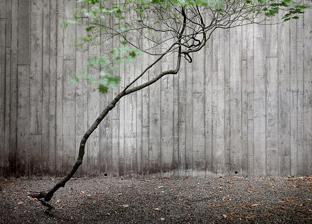 Urban Garden